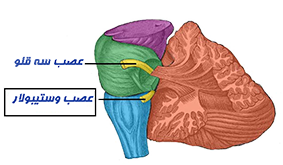 علت سرگیجه